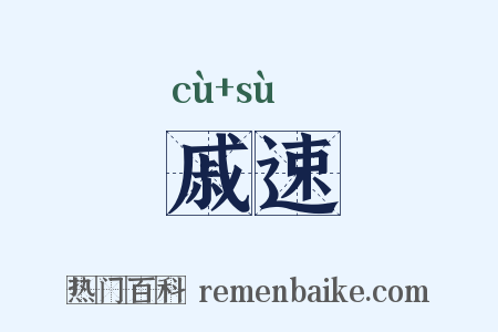 戚速是什么意思的图片